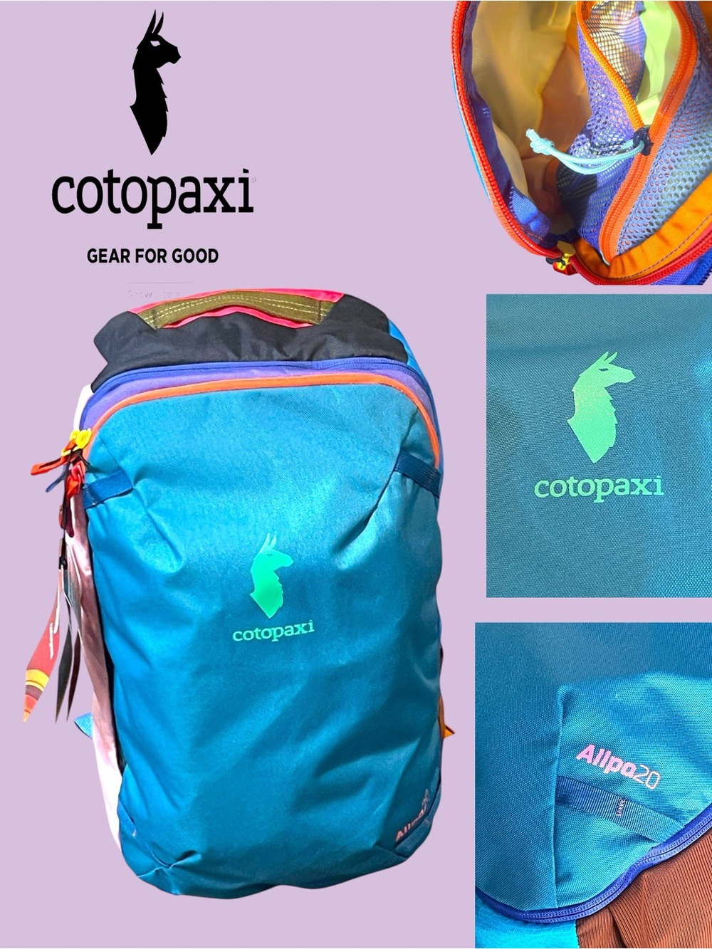 Cotopaxi Allpa Mini 20L Travel Pack - Del Dia PT One-of-a-Kind Colorway